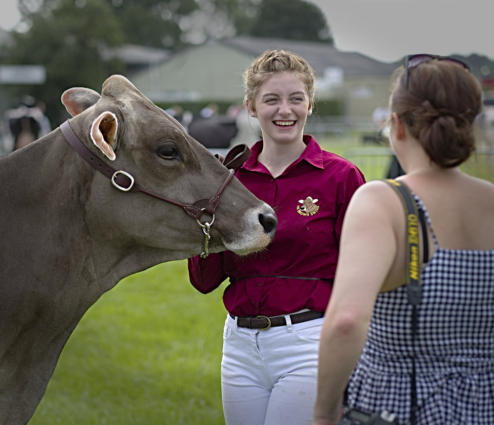 Brown Swiss, Fujifilm XF-56 mm f/1.2 R